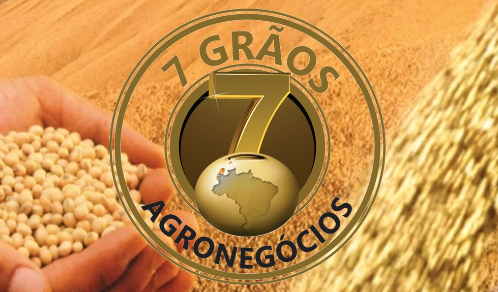 Corretora 7 Grãos Agronegócios 